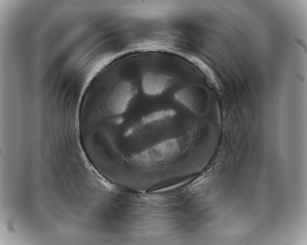 X0000095131191200712071300