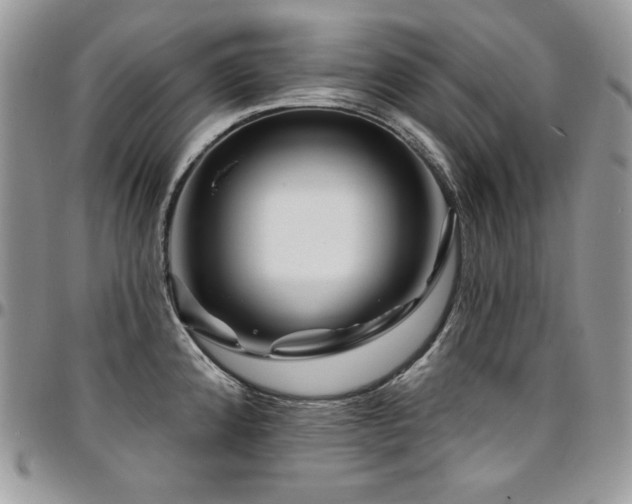 X0000095131192200712071300