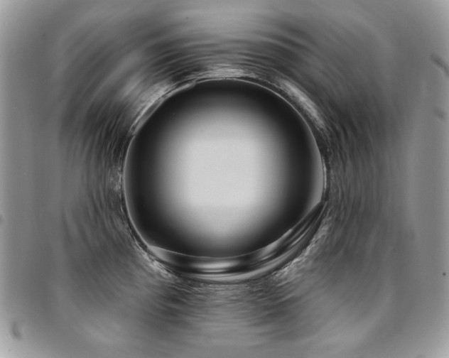 X0000095131193200712071300