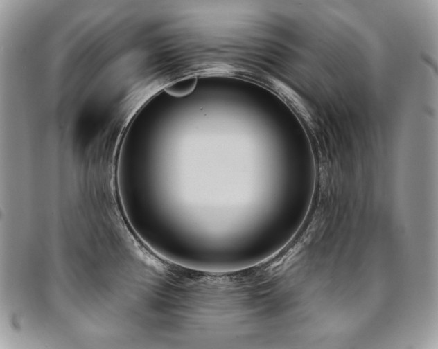 X0000095131194200712071300