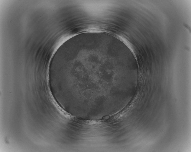 X0000095131195200712071300
