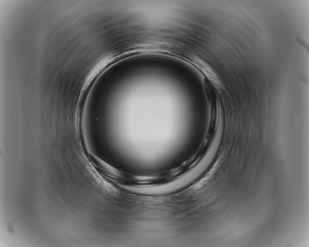 X0000095131196200712071300