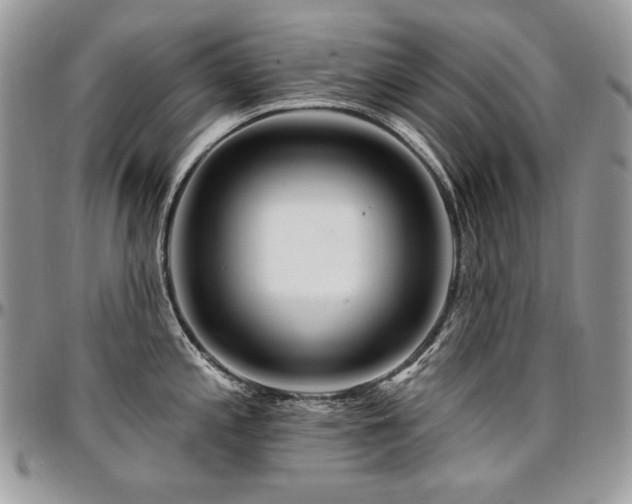 X0000095131197200712071300