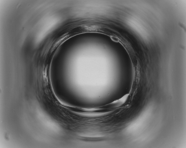X0000095131198200712071300