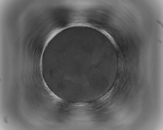 X0000095131199200712071300