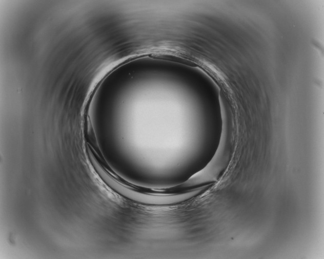 X0000095131200200712071300