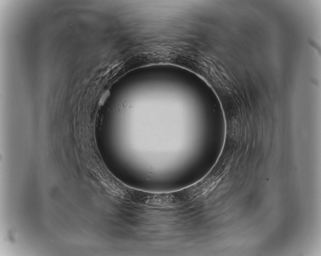 X0000095131201200712071259