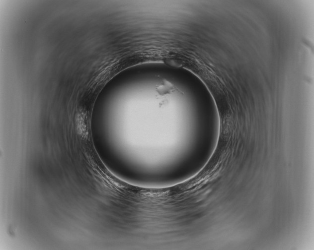 X0000095131202200712071259