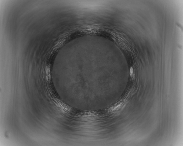 X0000095131203200712071259