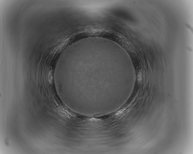 X0000095131204200712071259