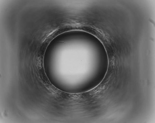 X0000095131205200712071259