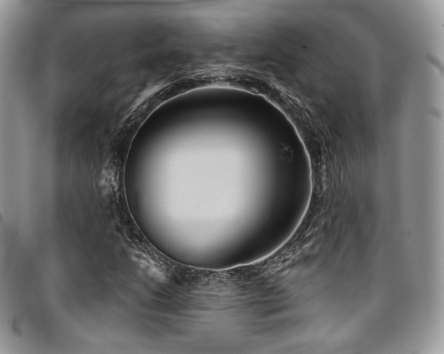 X0000095131206200712071259