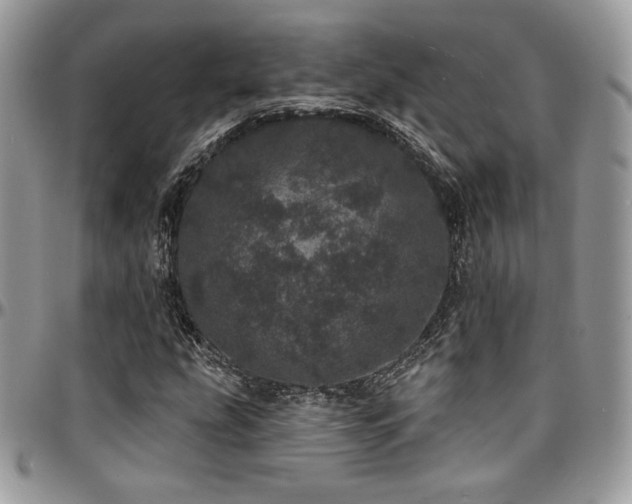 X0000095131207200712071300