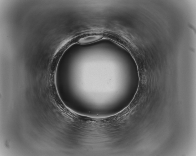 X0000095131208200712071300