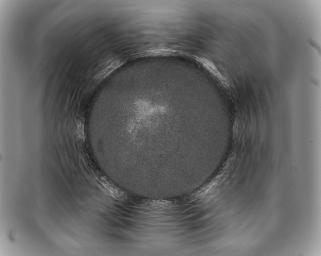 X0000095131209200712071300