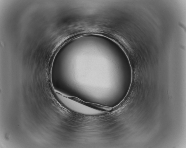 X0000095131212200712071300