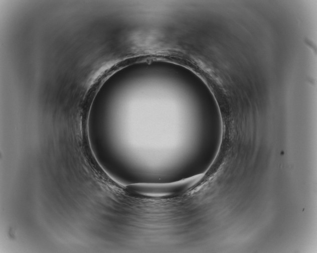 X0000095131214200712071300