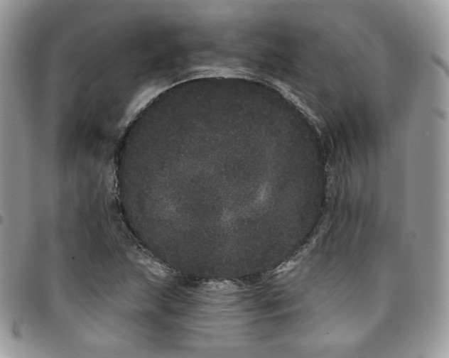 X0000095131215200712071300