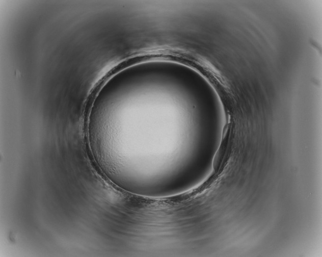 X0000095131216200712071300