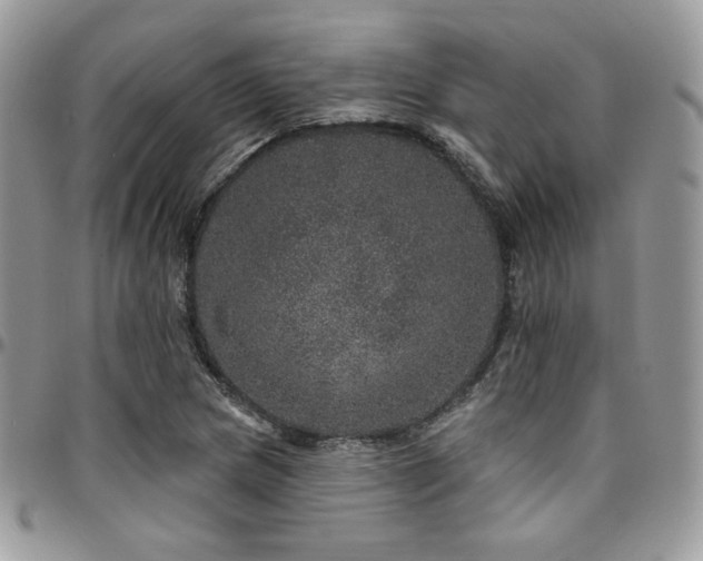 X0000095131217200712071300