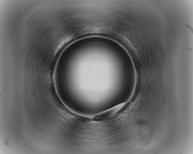 X0000095131218200712071300