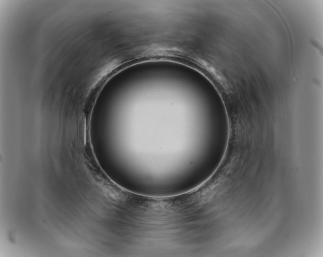X0000095131219200712071300