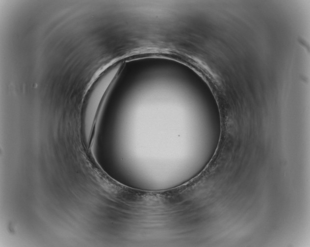 X0000095131220200712071300