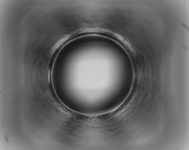 X0000095131221200712071300