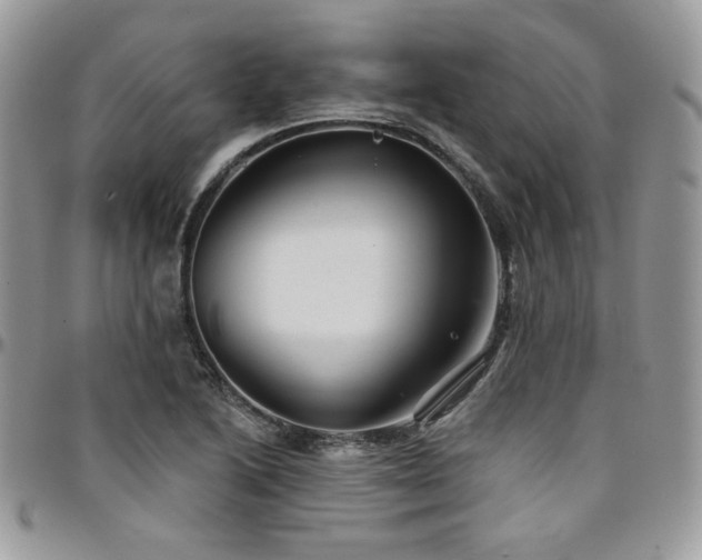 X0000095131222200712071300
