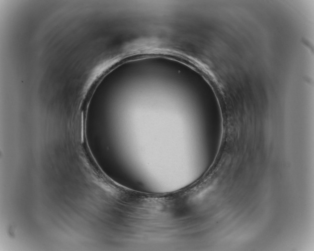 X0000095131223200712071300