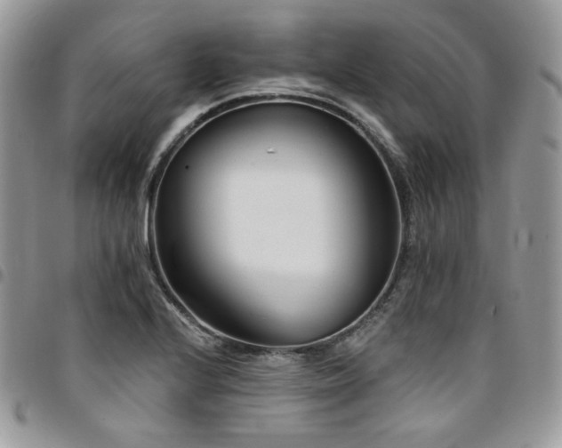X0000095131224200712071300