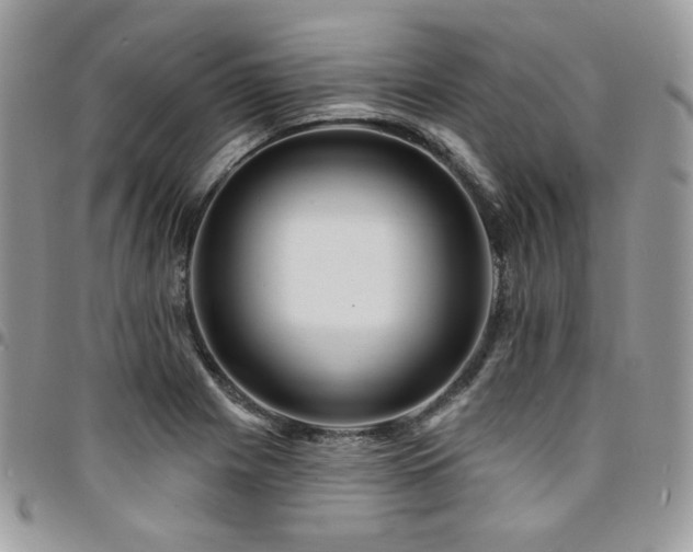 X0000095131225200712071300