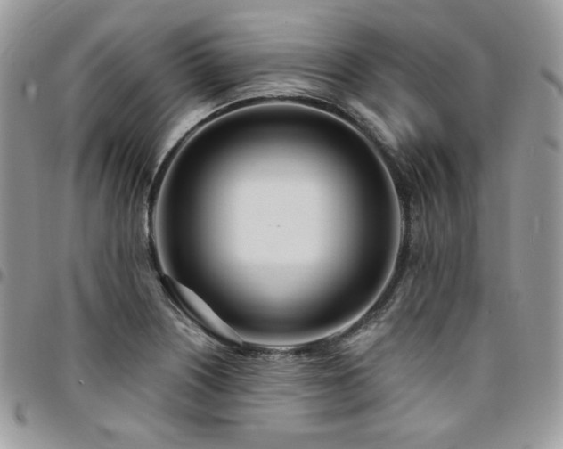 X0000095131226200712071300