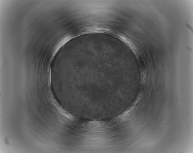 X0000095131227200712071300