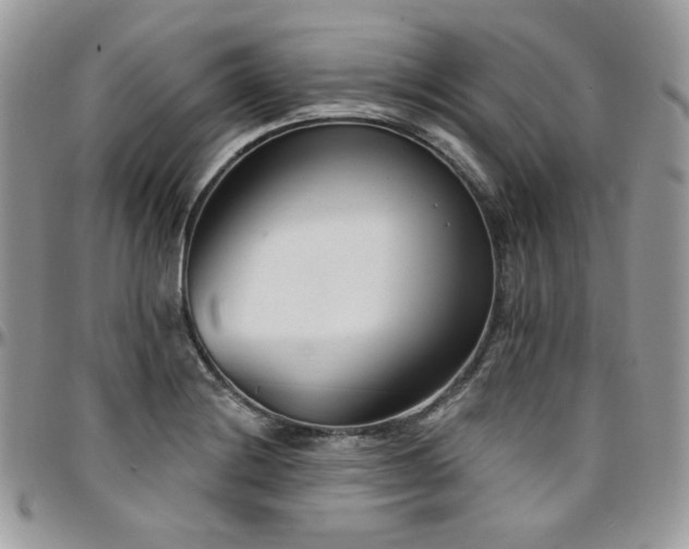 X0000095131228200712071300