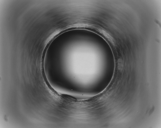 X0000095131229200712071300