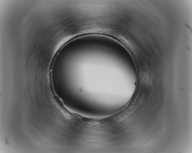 X0000095131230200712071300