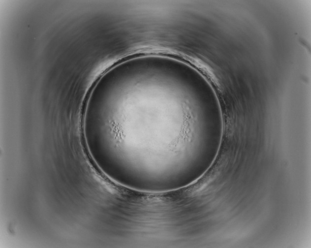X0000095131231200712071300