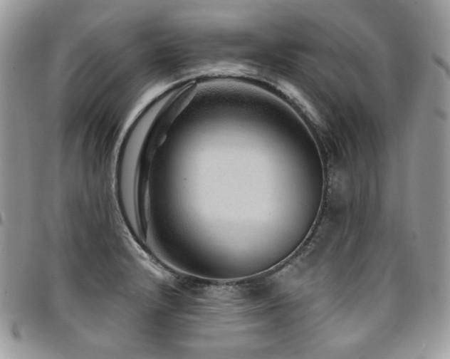 X0000095131232200712071300