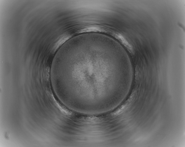 X0000095131233200712071300