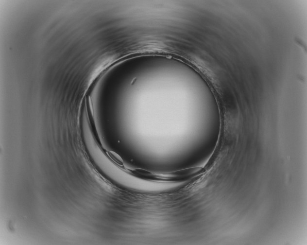X0000095131234200712071300