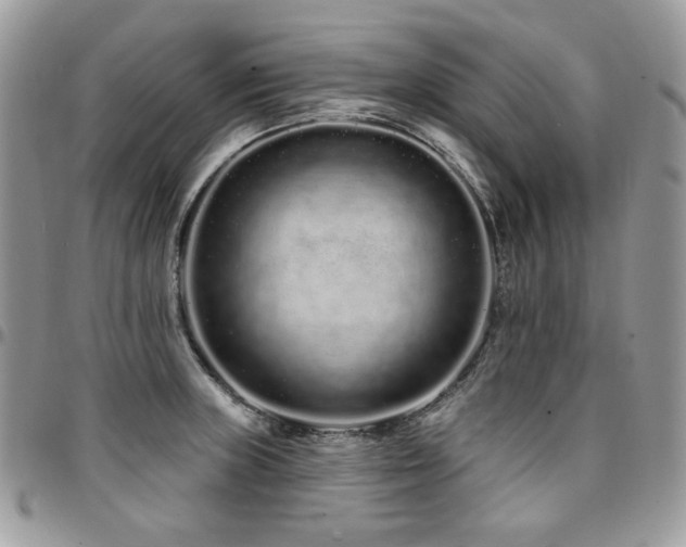 X0000095131235200712071300