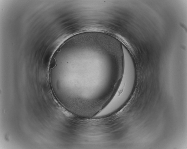 X0000095131236200712071300