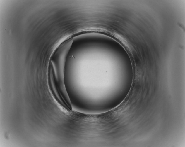 X0000095131237200712071300