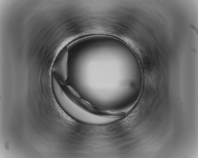 X0000095131238200712071300