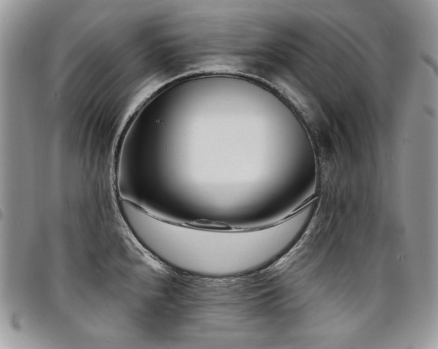 X0000095131240200712071300