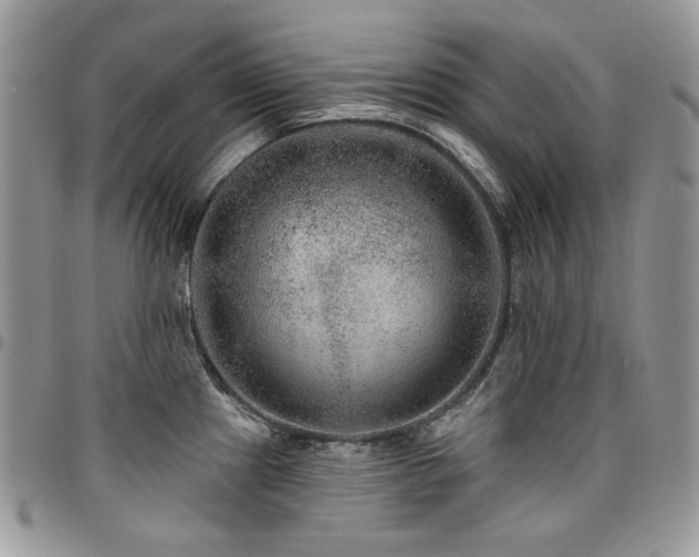 X0000095131241200712071300