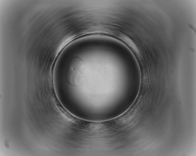 X0000095131242200712071300