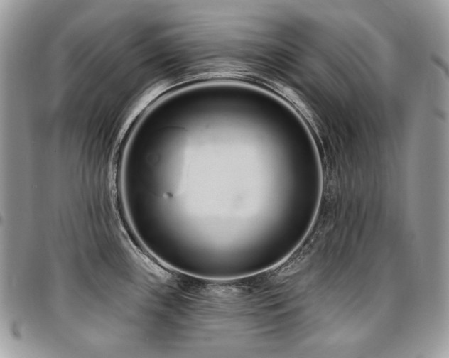X0000095131243200712071300
