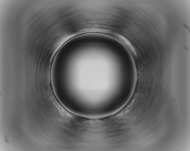 X0000095131244200712071300